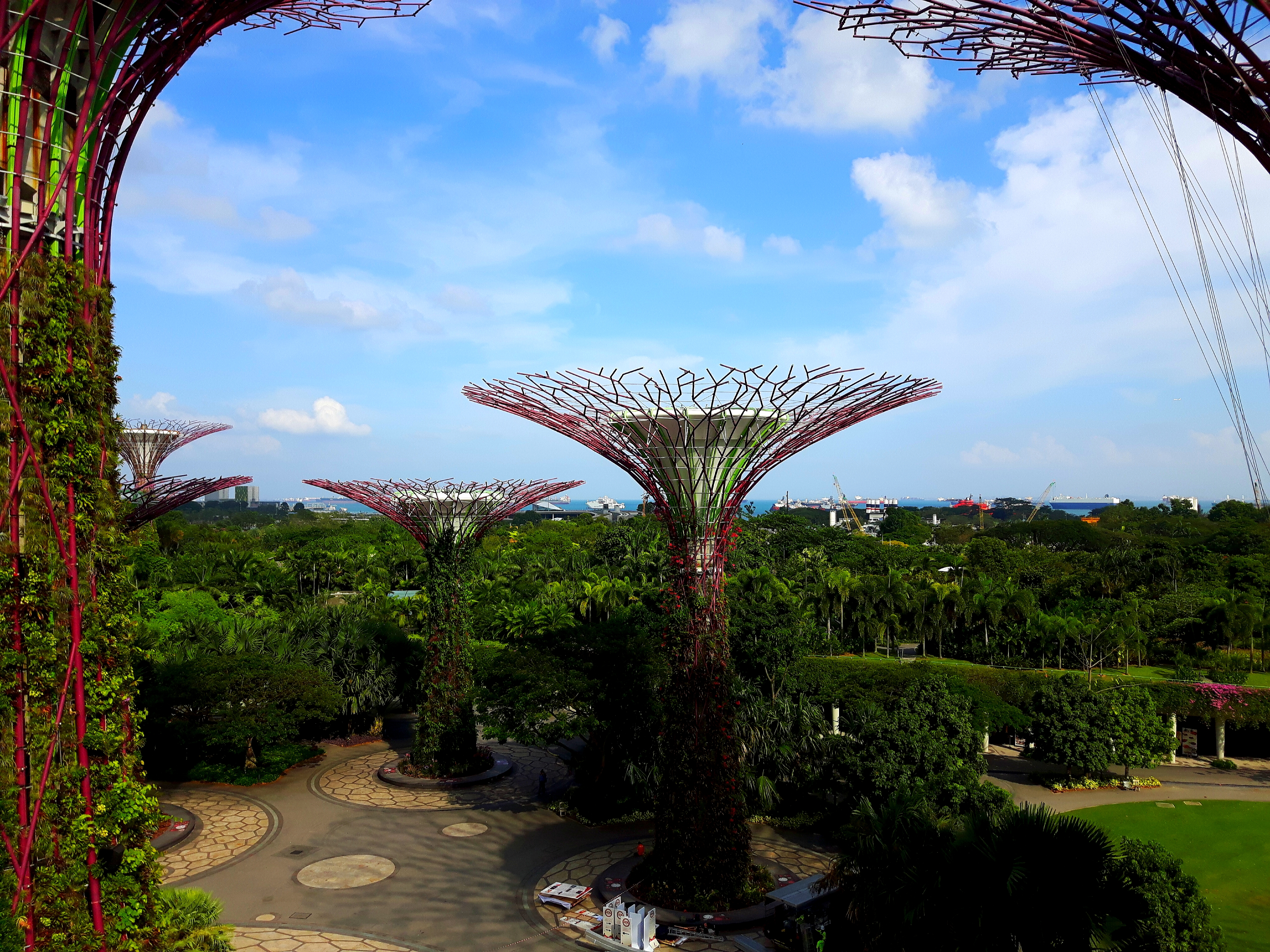 Gardens By The Bay - Supertrees